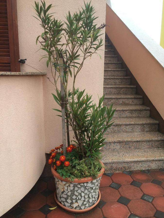 Apartmani Stefano Labin  Εξωτερικό φωτογραφία